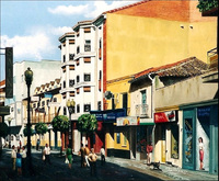 Calle Madrid núm. 44 (Años 2000)